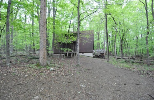 Berkeley Springs House | Cozy - wifi, wood stove, deck, screen porch, pool access, hiking, king