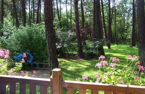 Sainte-Helene House | Cozy wooden house in a quiet forest location - pure relaxation in nature