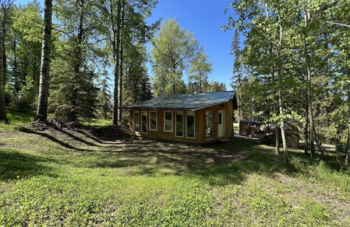 Buck Lake Cabin | Cozy year round cabin in the woods, walking distance to the lake