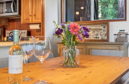 Cazadero Cabin | CozyCreekCabin-Swimming Hole!Cottage On Pristine Creek! Magical!WiFi/Pup/HtTb