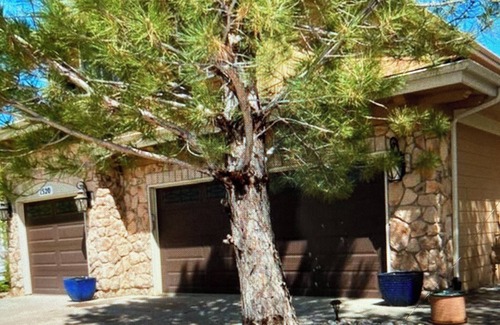 Aurora House | Cozying &Stylish Charming home 3,900sq AC, WiFi upscale Aurora 15 minutes of DIA