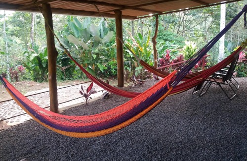 Venado House | Enlighten your senses in a lush rain forest of Costa Rica!