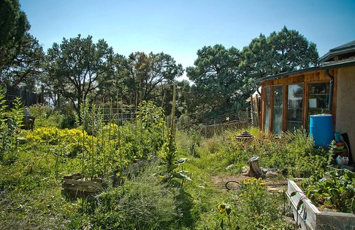 Baca Grande Cottage | Creative Art of Living nCLOSED FOR THE WINTER SEASON UNTIL SPRING OF 2025