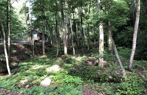 Hendersonville Cabin | Creek and Fire Pit!