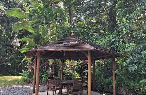 Cow Bay House | creek, close to beach, cassowaries, acreage, rainforest, swimming holes