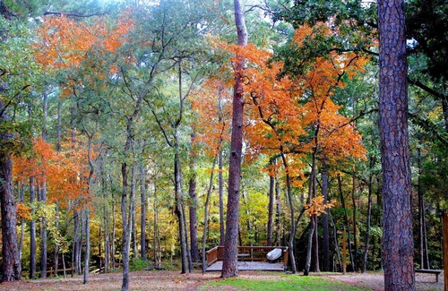 Crockett House | "Creekside" a Lake, Creek, Forest & Rolling Hills