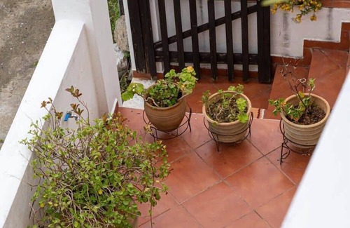 Skotino House | Cretan Magnolia Gem - Smari Cozy Getaway