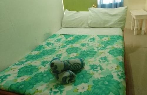 Oslob Bed & Breakfast | Cronin Residence