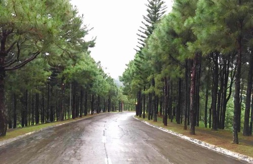 Canlubang House | Crosswinds Resort Suites Quadrille Home
