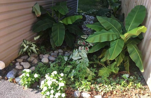 Lewes Apartment | Crow's Nest - Private Guest Apt Near Bike Trail/3.7 mi to Beach