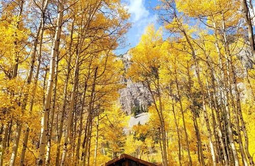 Crowsnest Pass Cabin | Crowsnest River Chalet - Trout