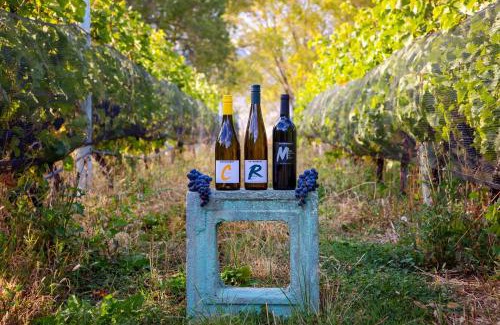 Okanagan-Similkameen Bed & Breakfast | Crowsnest Vineyards Guesthouse