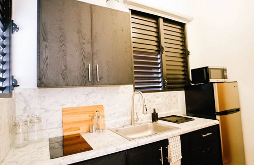 Sagrado Corazon Apartment | CS3- Original Spanish Architecture in the Heart of SanJuan w/Parking