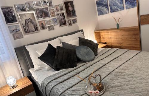 Kalocsa Apartment | Csatangoló Lovas Apartman Silver