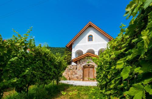 Badacsonyors Apartment | Csendes Dűlő Szőlőbirtok Guesthouse Badacsonyörs