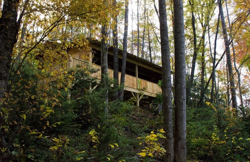 Candler Cabin | Cuddle Up and Relax- Hot Tub, Fireplace, Romantic, View, Free WiFi, Pet Friendly