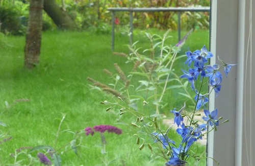 Amsterdam North Cottage | Cultural by Nature. Rural place in the city.