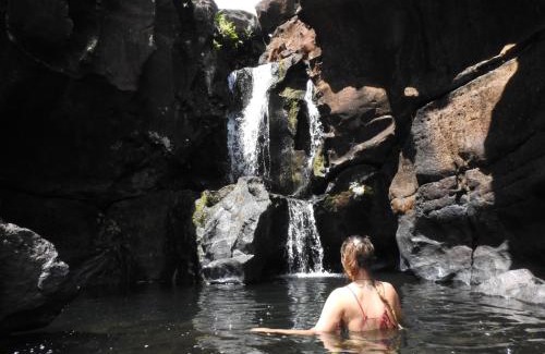 Puerto Iguazu Resort | Curiango Bird Camp