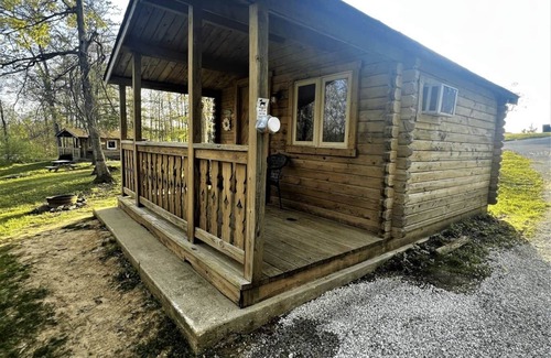 Helmsburg Cabin | "Curly" Camping Cabin #3 | Pet Friendly