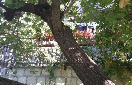 Cusano Mutri Bed & Breakfast | Cusanarella Mia