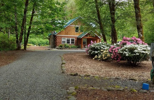 Lewis County House | Custom Built Log Home - We now have internet and wifi throughout the house.
