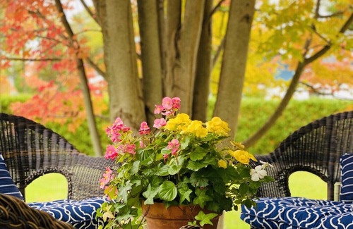 Harbor Springs House | Custom Harbor Springs In-Town Luxury Cottage