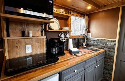 Mouth of Wilson House | Custom HorseTrailerTinyHome near Grayson Highlands