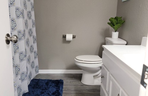 Blue Springs Apartment | Cute and Cozy Apartment close to several highways