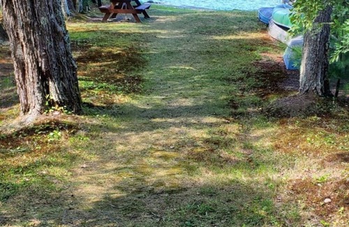 Goshen Cottage | Cute and cozy lake cottage, next to DAR State Forest