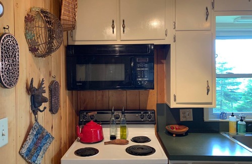 Mackinac County Cottage | Cute As A Bug Cottage On The Shores of Big Manistique Lake