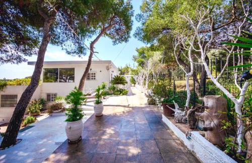 Rafina House | Cute tiny house