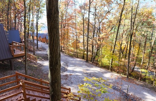 Scio Cabin | Cuyahoga/Rustic Lakeview Cabin- 2 Person A-Frame