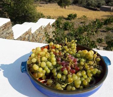Platis Gialos House | Cycladic Vineyard House
