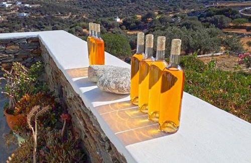 Platis Gialos House | Cycladic Vineyard House