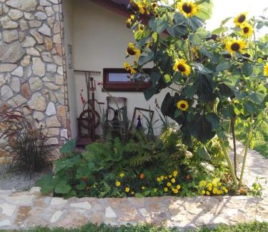 Boleslaw House | Czytelnia w Sadzie