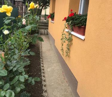 Gyomro Apartment | Dália apartman Gyömrő