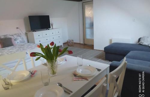 Balatonszarszo Apartment | Dóra Apartman