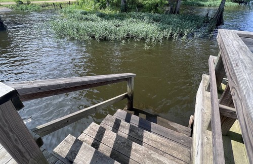 Farmerville Cabin | D'Arbonne Duck - No Cleaning Fee