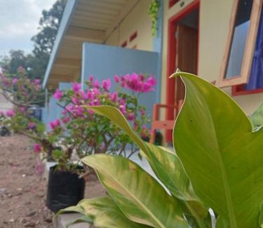 Labuan Bajo House | D'Flores Guest House