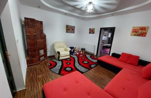 Campulung Moldovenesc Apartment | D&R