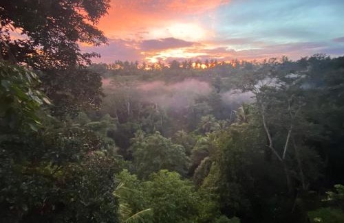 Petulu Villa | D'tepi Ubud House