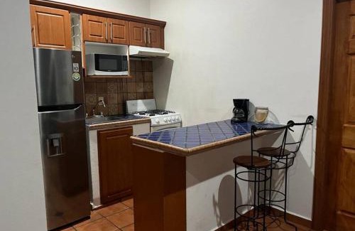 Las Gaviotas Apartment | D1 Golden Zone oceanview Balboa apartment