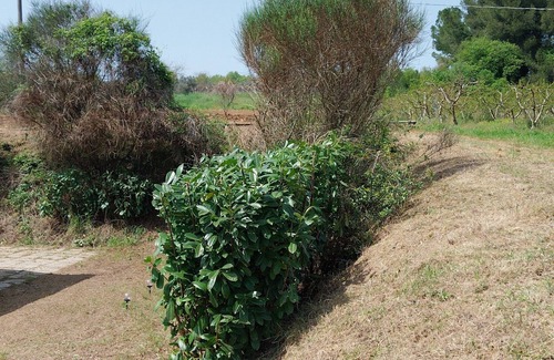 Torrevecchia Teatina Apartment | " Da Lucia" Immersed in nature!