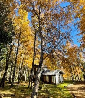 Pinto Ski Chalet | Daben Recinto Ñuble camino Termas de Chillan