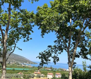 Melissopetra House | Dafni Stone House In Epidavros