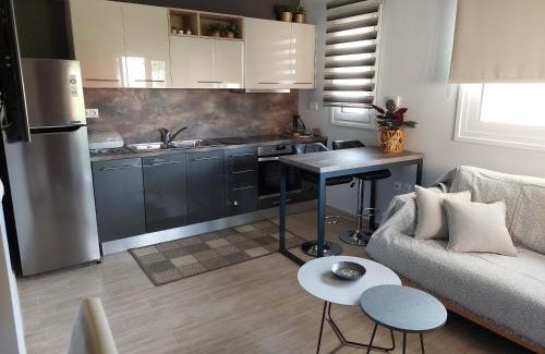 Nidri Apartment | Daglas Summer Loft
