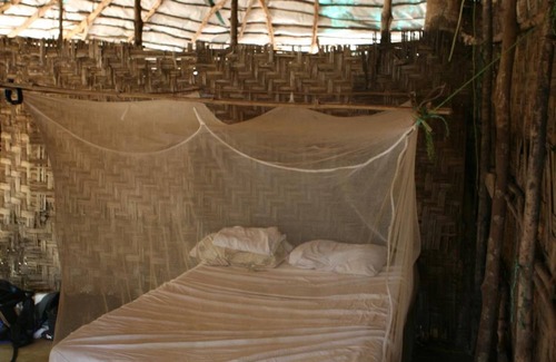 Banana Islands Cabin | Daltons Banana Guesthouse
