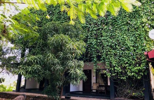 Dambulla Bed & Breakfast | Dambulla Rock Arch
