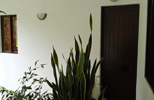 Ribeira Grande Apartment | Damontanha 2