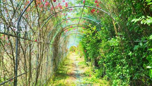 Damyang House | Damyang Mulgusimni Group Pension